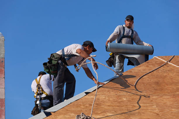 Best New Roof Installation  in Carver, MN